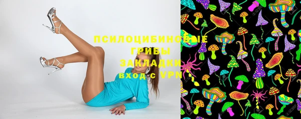 mix Няндома