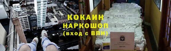 гидра Алексеевка